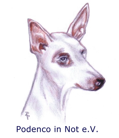 Podenco in Not e.V.