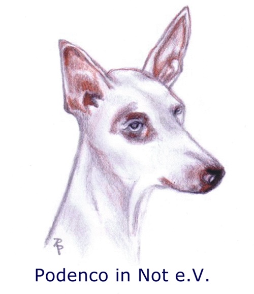 (c) Podenco-in-not.de