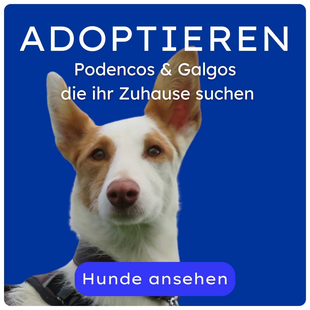 Adoptieren Adoptieren