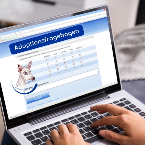 Adoptionsfragebogen