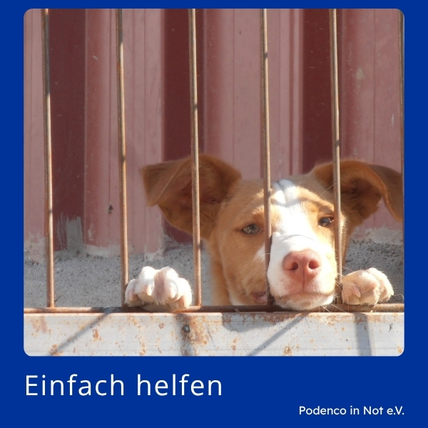 Einfach helfen