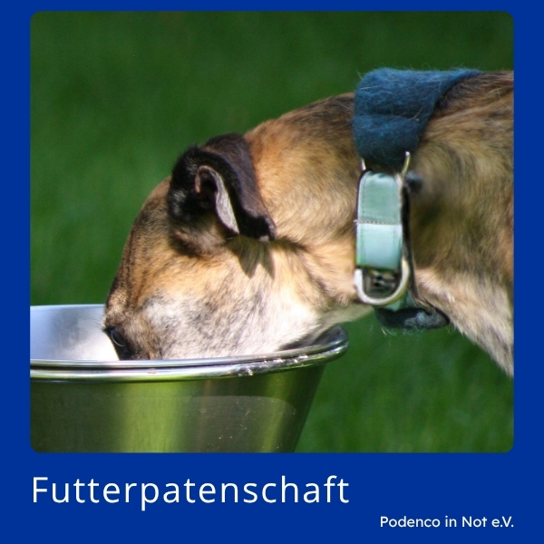 Futterpatenschaft