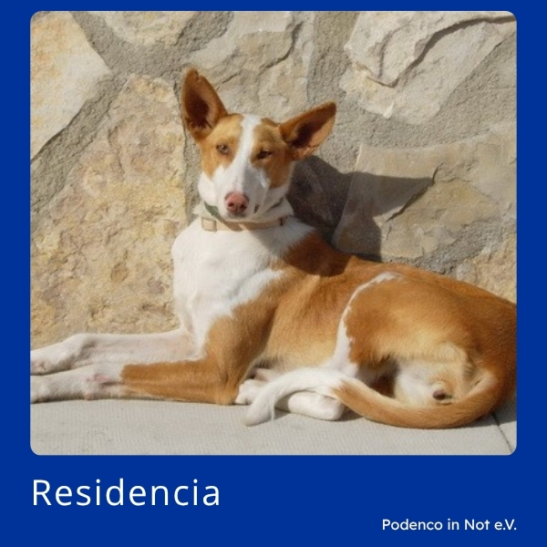 Residencia PiN