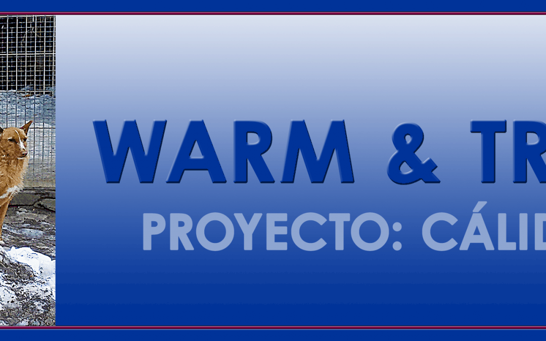 warm und trocken