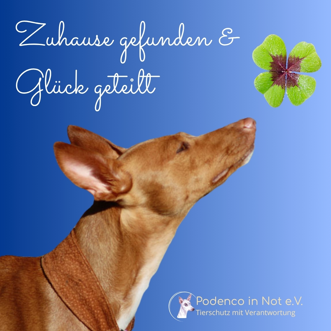 Grüsse von ehemaligen Schützlingen