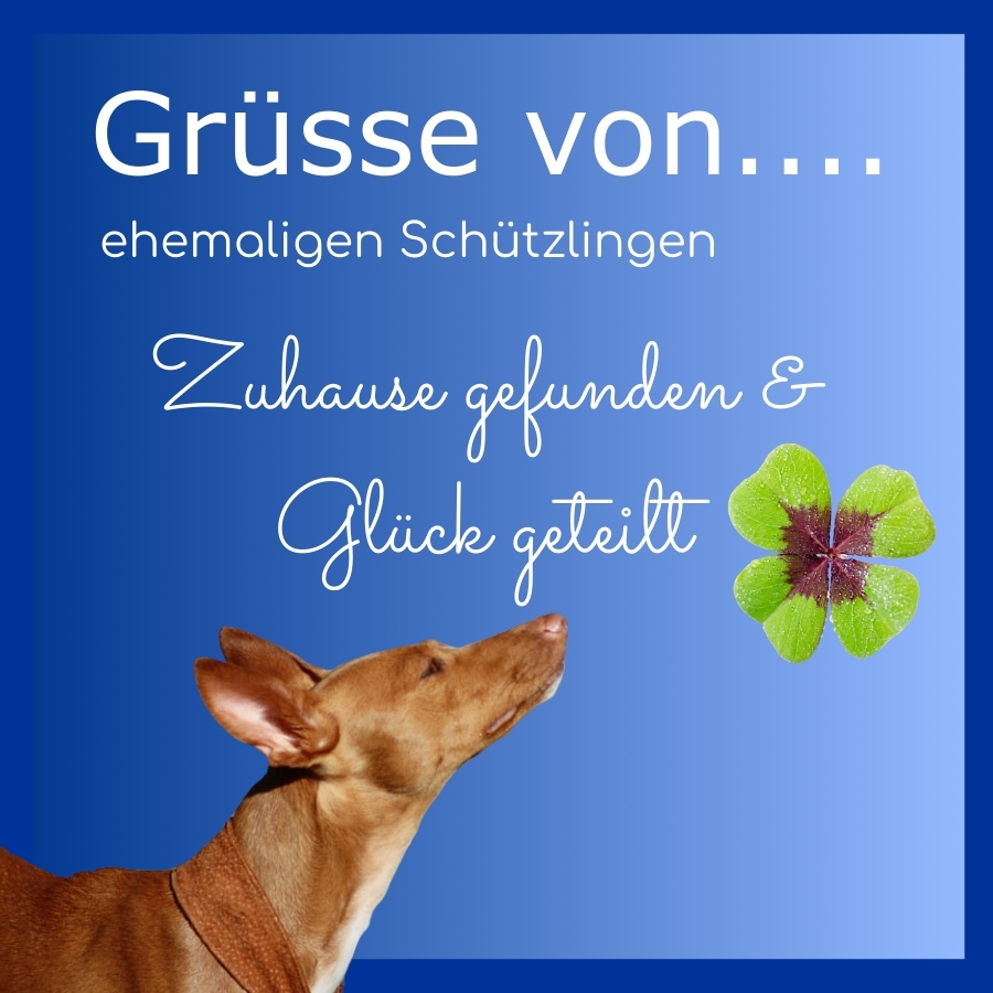 Grüsse von
