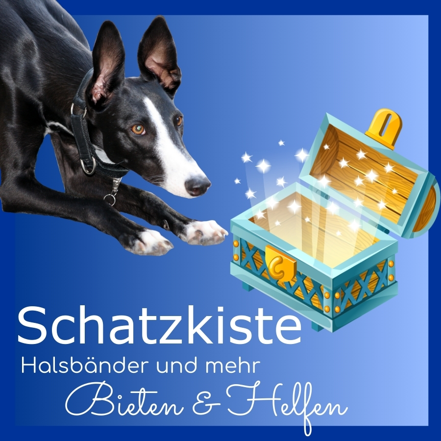 Schatzkiste