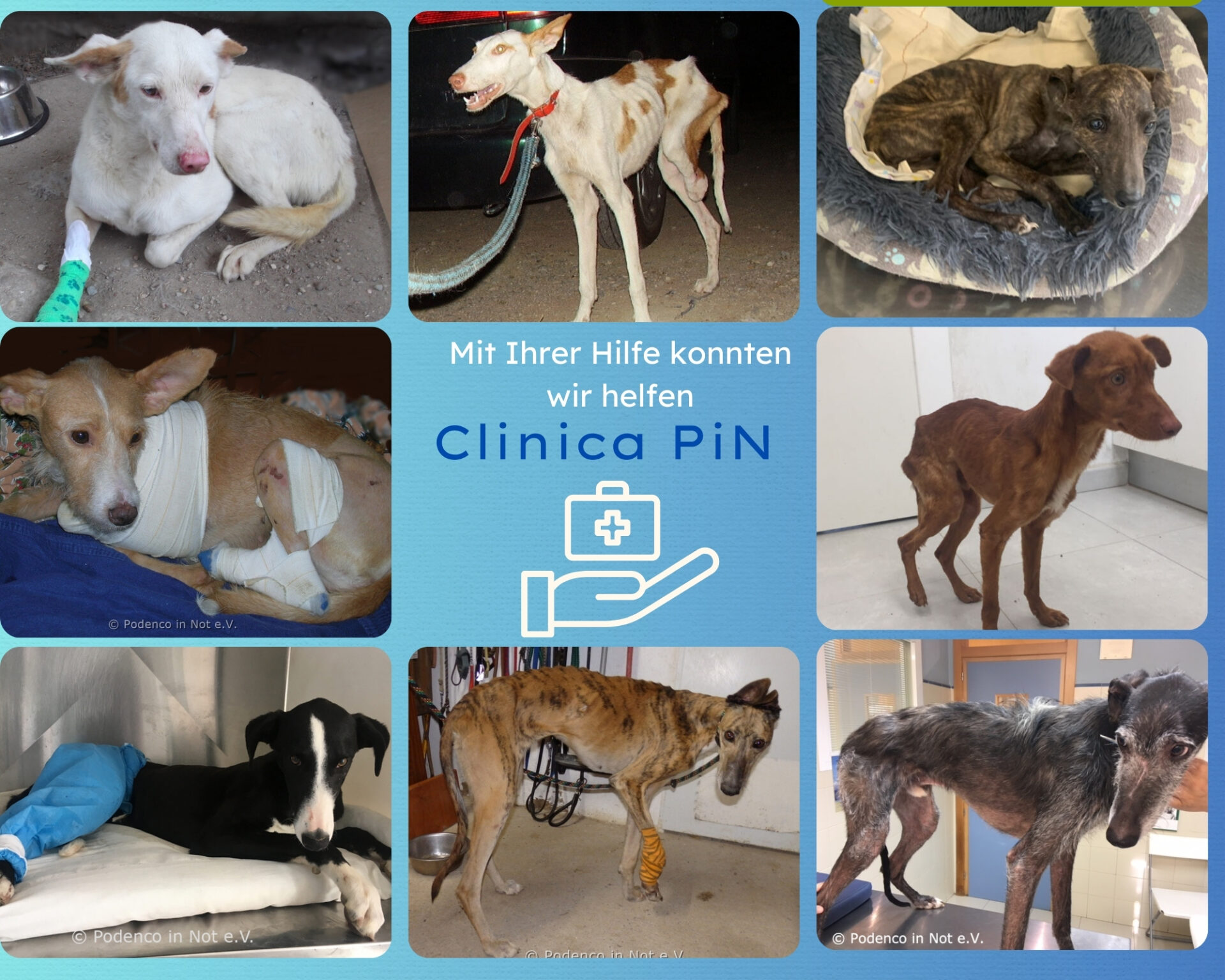 Clinica PiN
