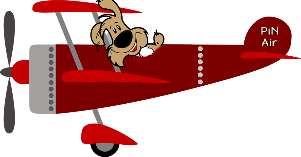 Flugzeug