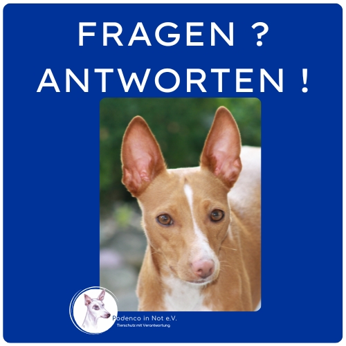 Fragen Antworten Fragen Antworten