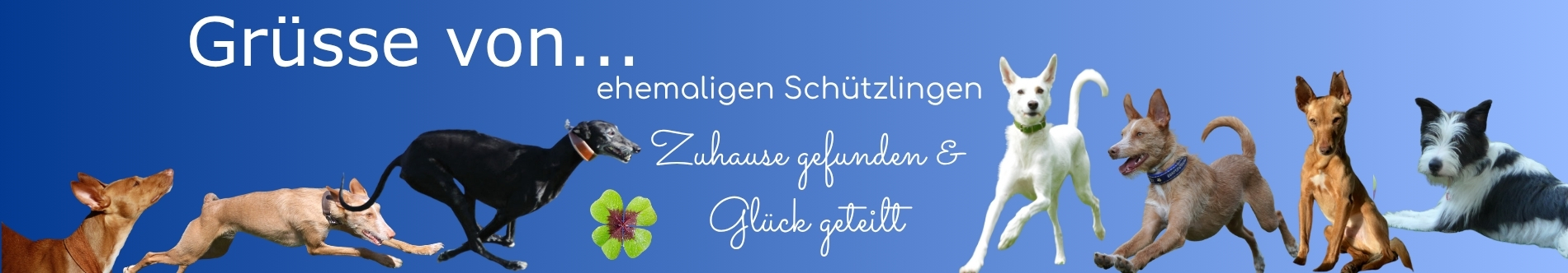Grüsse von ehemaligen Schützlingen