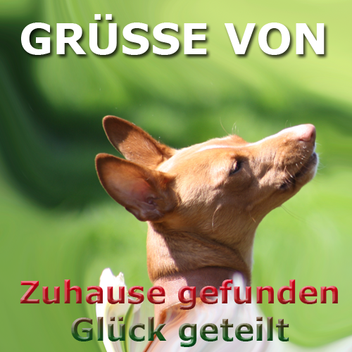 Grüsse