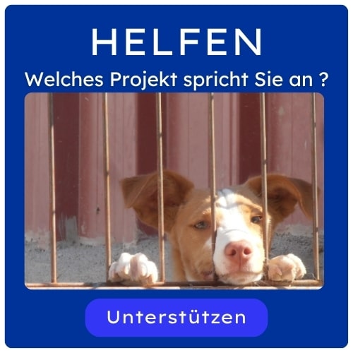 Helfen - es gibt viele Möglichkeiten Helfen
