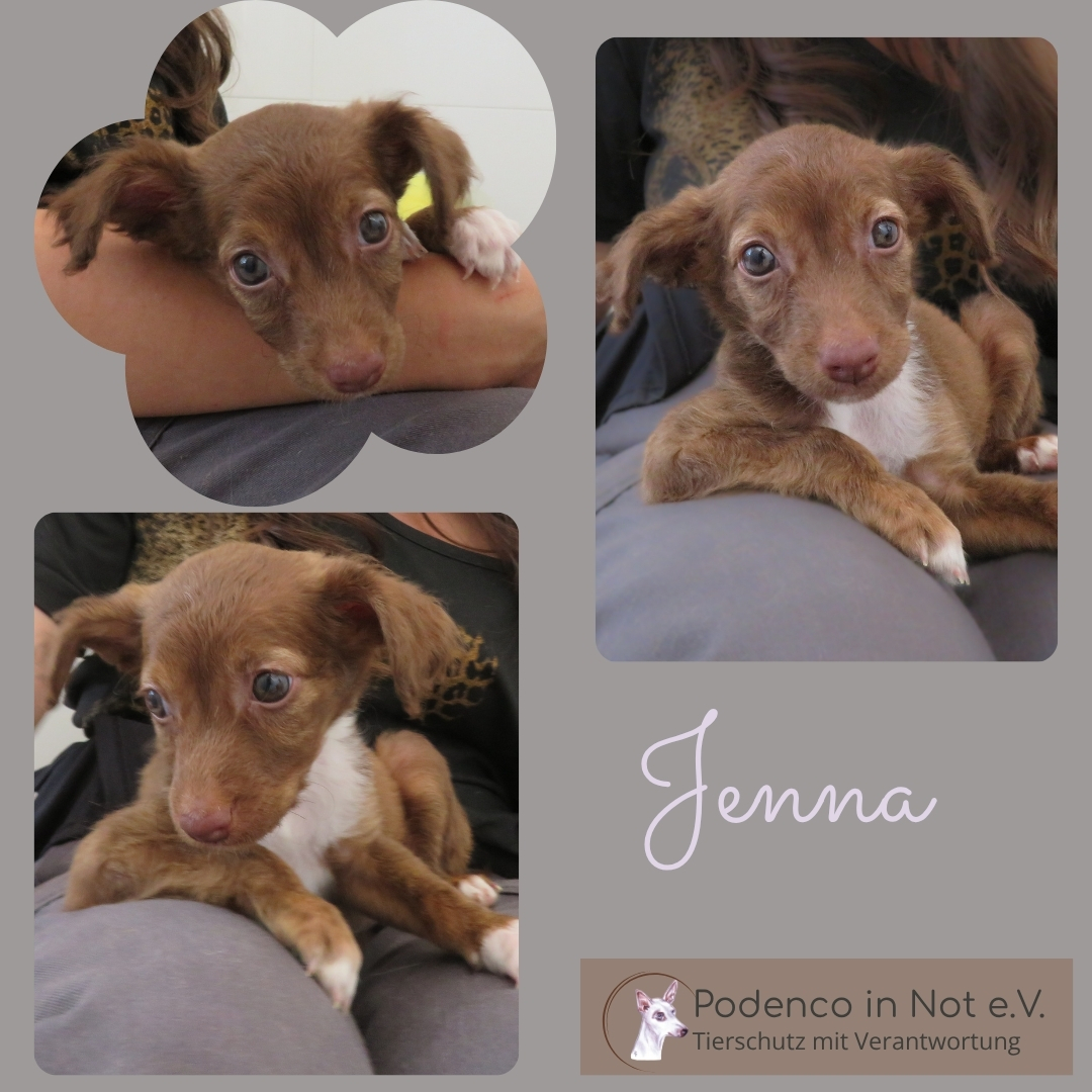 Jenna