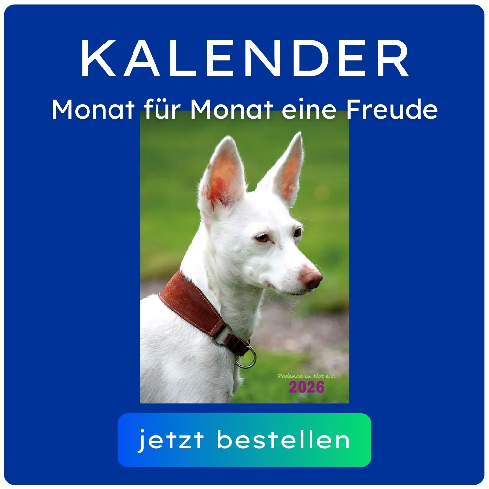 Der PiN Kalender Der PiN Kalender