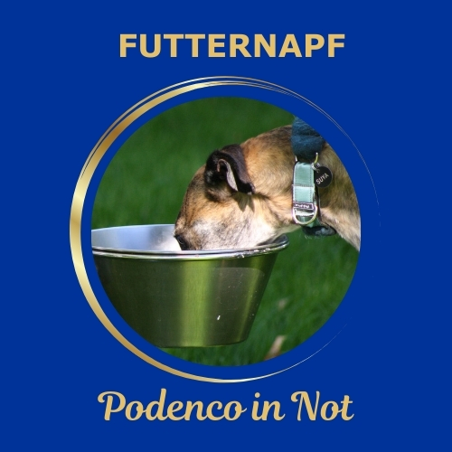 Futternapf