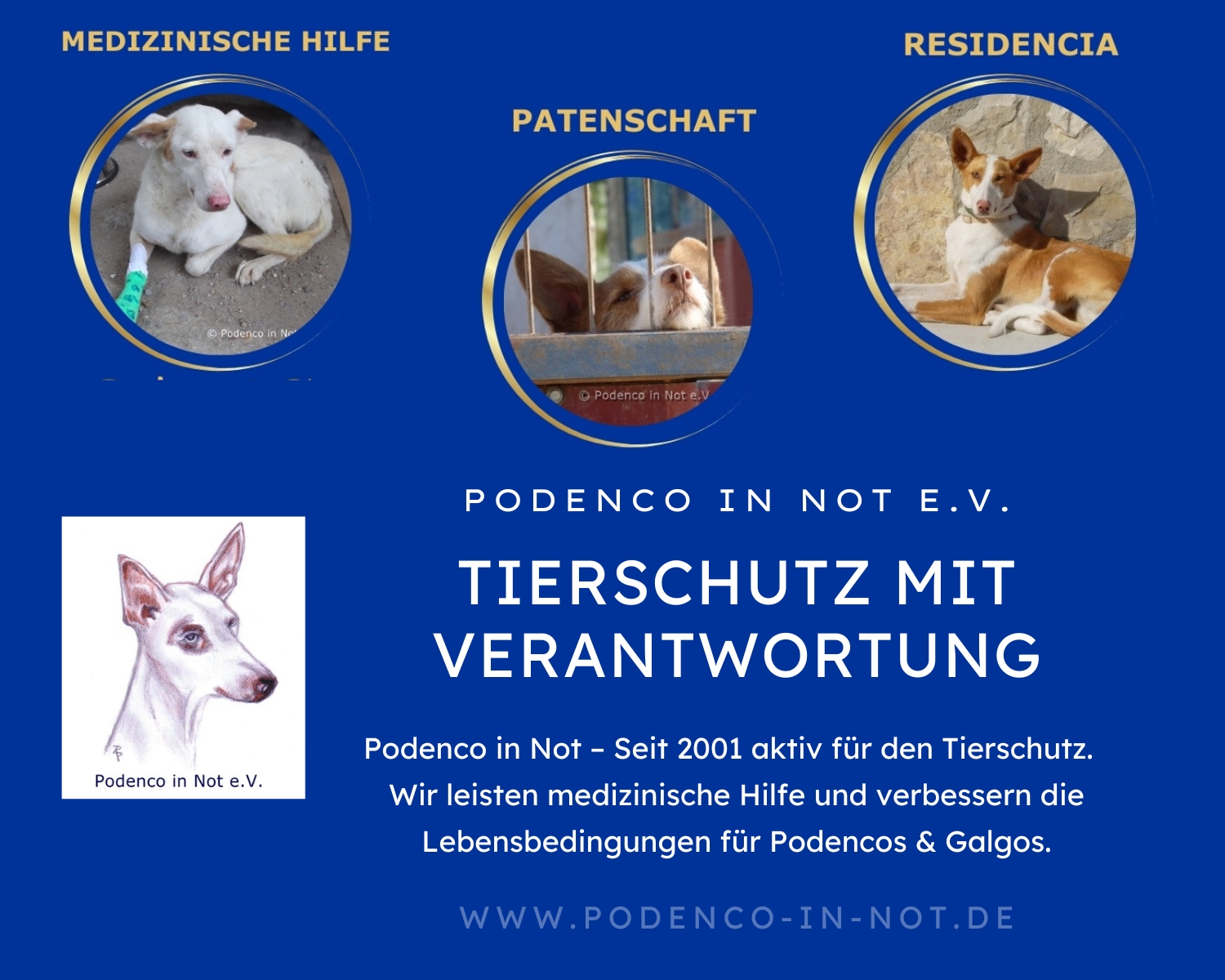 Banner Podenco in Not