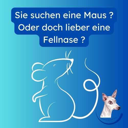 Maus oder Fellnase