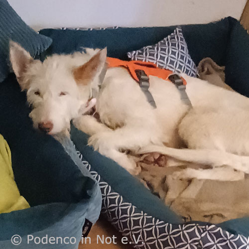 Mayara_1222_12