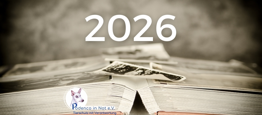 PiN unvergessen 2026 PiN unvergessen 2026