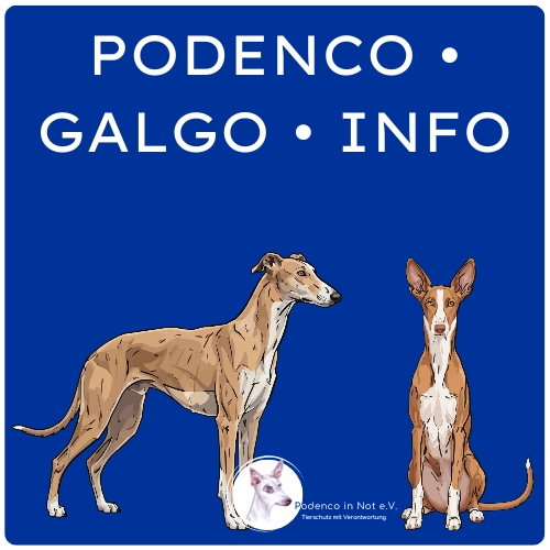Podenco Galgo Information Podenco Galgo Information