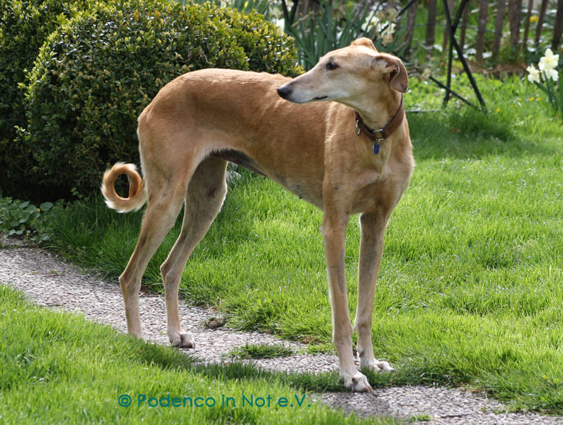 Majeera Majeera