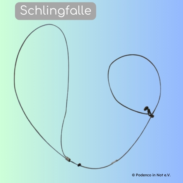 Schlingfalle