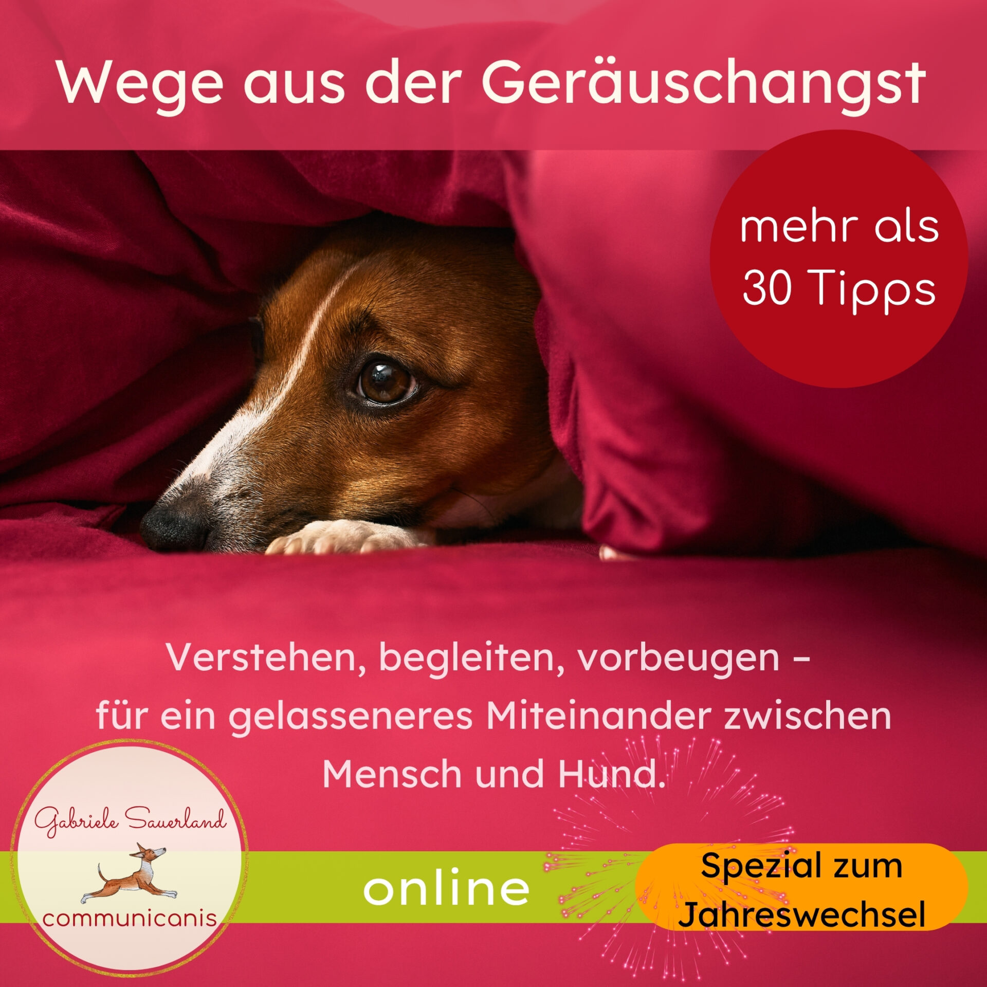 Wege aus der Geräuschangst Wege aus der Geräuschangst