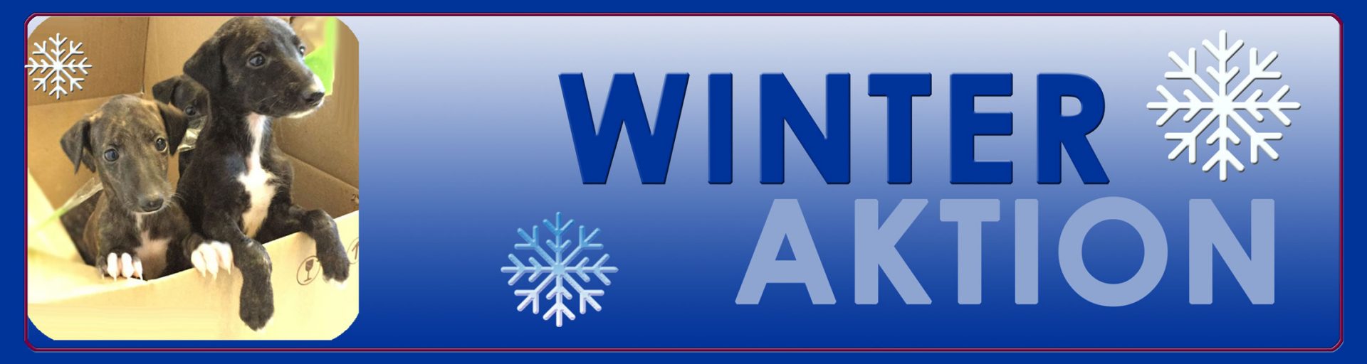 Winteraktion_2021