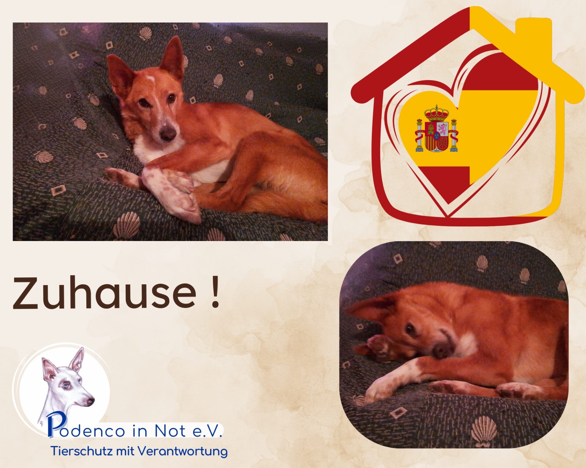 Kiyoshi ist Zuhause