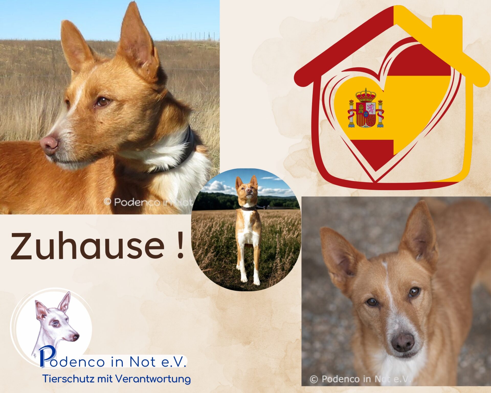 Zuhause ES Kiyoshi