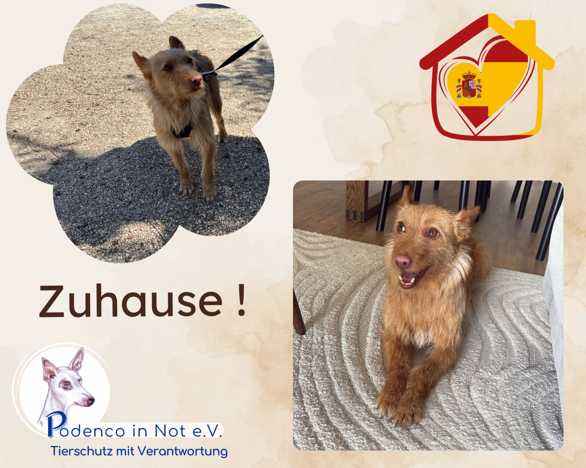 Mielikki Zuhause gefunden