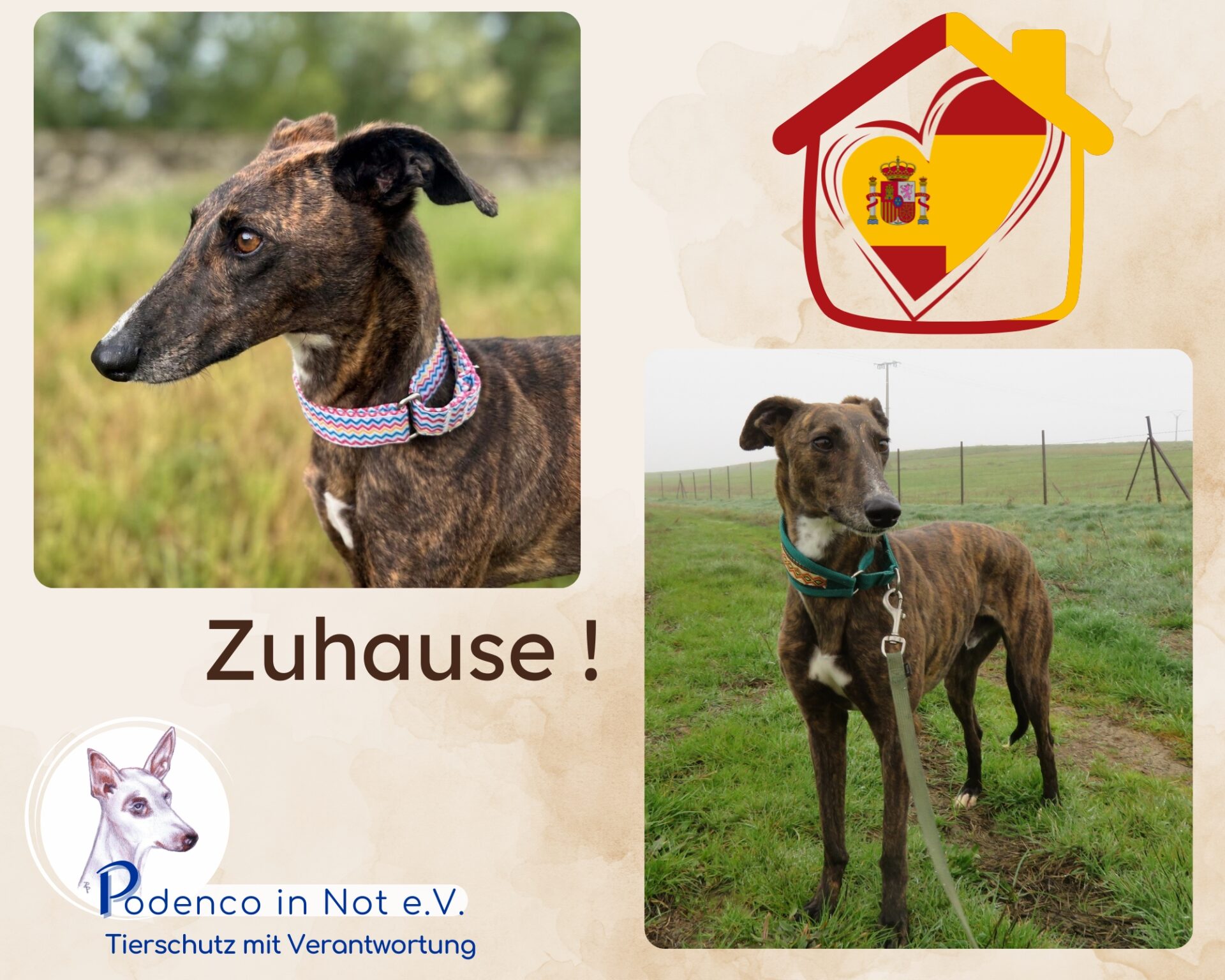 Nigan ist Zuhause