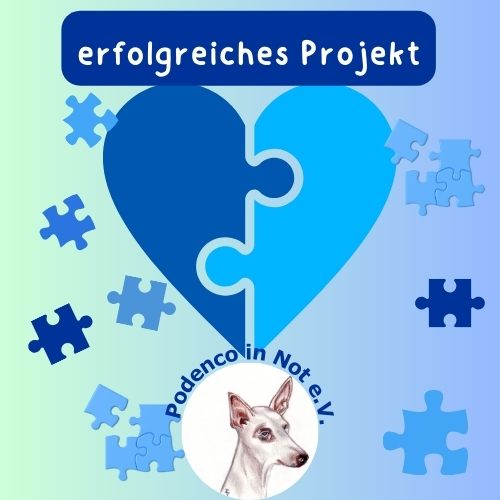 erfolgreiches Projekt