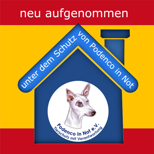 neu aufgenommen