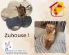 Zuhause