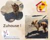 Zuhause
