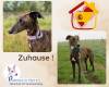 Zuhause