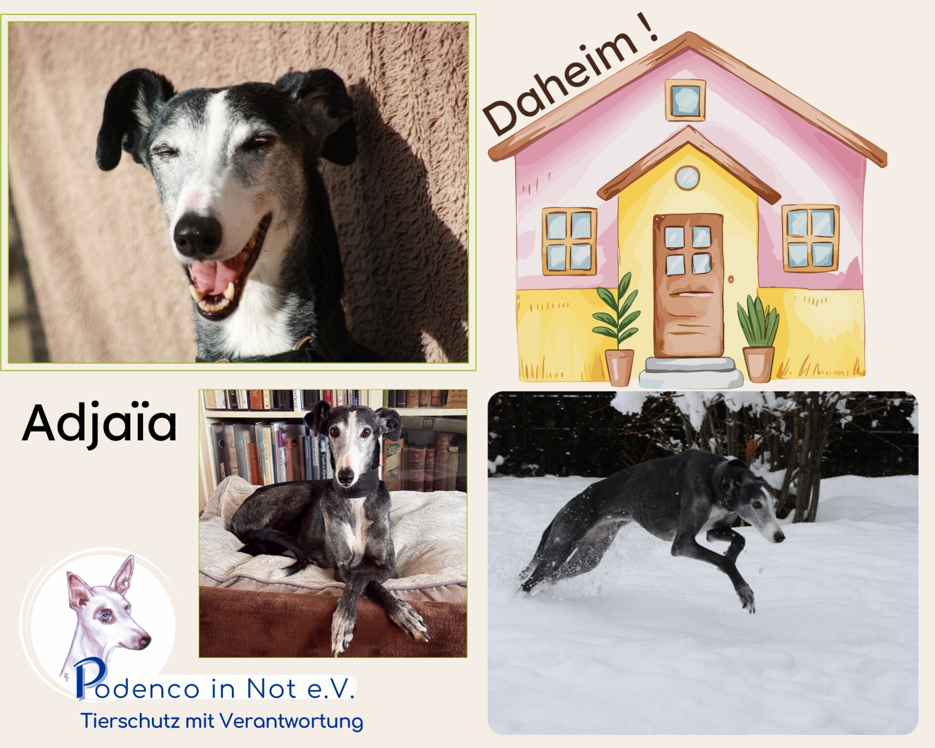 Adjaïa Daheim Adjaïa Daheim