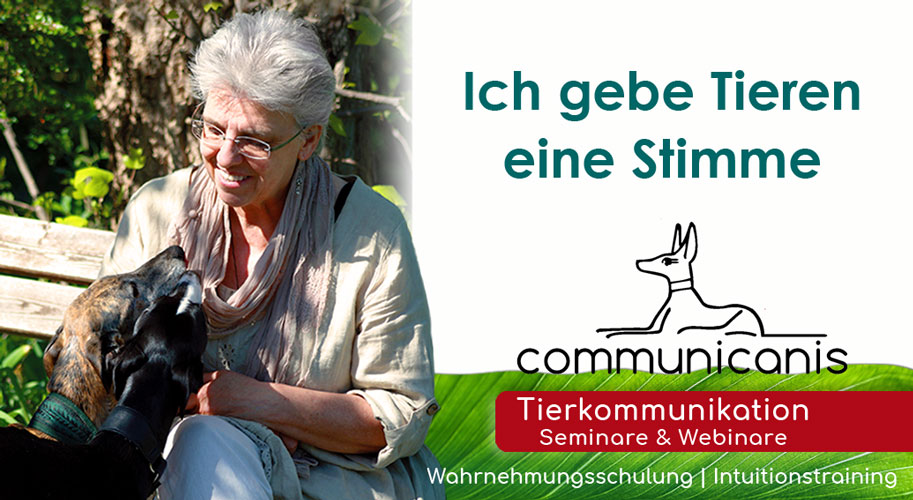 communicanis